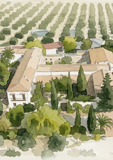 Cortijo y olivos